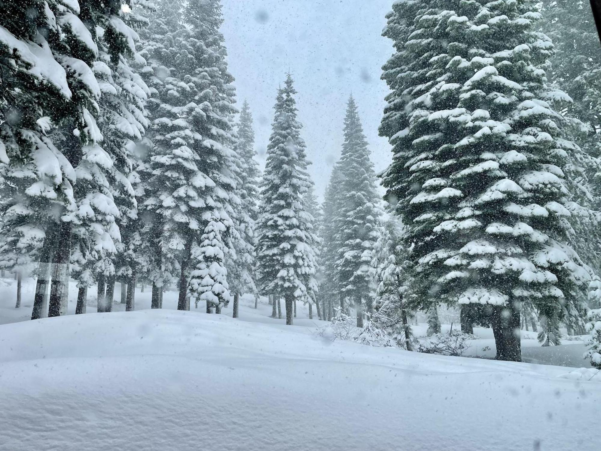 Bear Meadows Lodge - Hot Tub - Tahoe Donner Home 特拉基 外观 照片