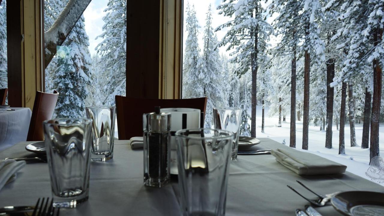Bear Meadows Lodge - Hot Tub - Tahoe Donner Home 特拉基 外观 照片